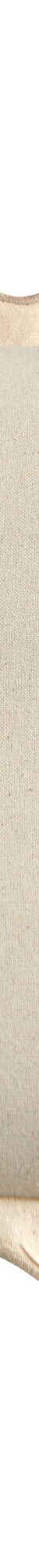 Coussin uni coton finition feston (naturel) Coussin uni coton finition feston (naturel)